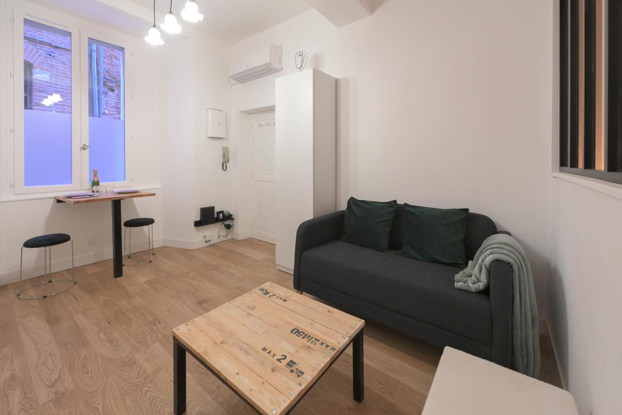 Appartement T1 Bis L'Enfilade Albi Eksteriør bilde